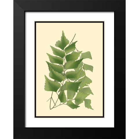Custom Terra Collection IV (KB) Black Modern Wood Framed Art Print with Double Matting by Vision Studio
