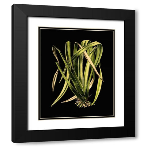 Green Leaves on Black IV Black Modern Wood Framed Art Print with Double Matting by Vision Studio
