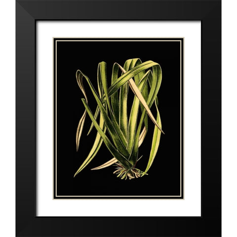 Green Leaves on Black IV Black Modern Wood Framed Art Print with Double Matting by Vision Studio