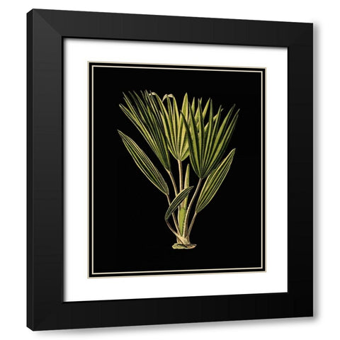 Green Leaves on Black V Black Modern Wood Framed Art Print with Double Matting by Vision Studio