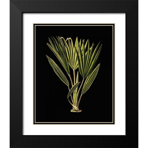 Green Leaves on Black V Black Modern Wood Framed Art Print with Double Matting by Vision Studio