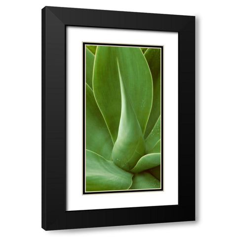 Patterned Nature I Black Modern Wood Framed Art Print with Double Matting by Vision Studio