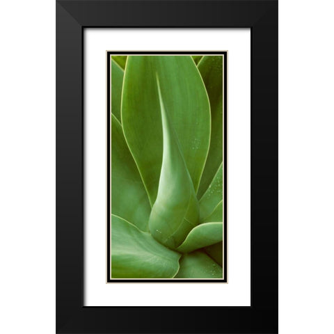 Patterned Nature I Black Modern Wood Framed Art Print with Double Matting by Vision Studio