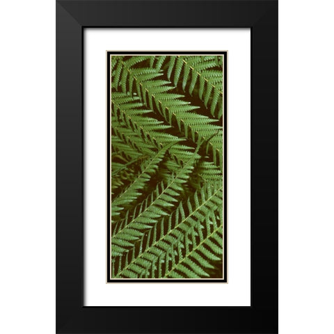Patterned Nature II Black Modern Wood Framed Art Print with Double Matting by Vision Studio