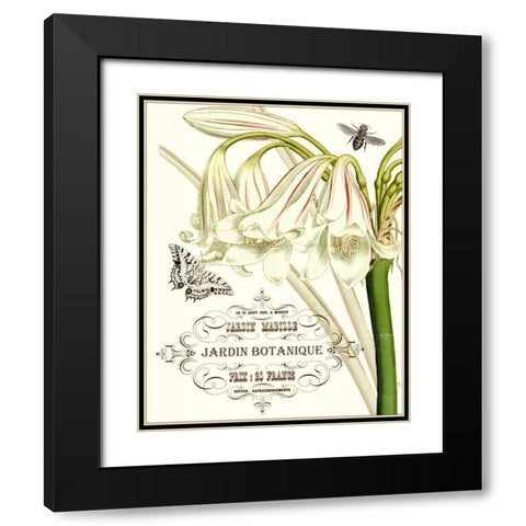 Jardin Botanique I Black Modern Wood Framed Art Print with Double Matting by Vision Studio