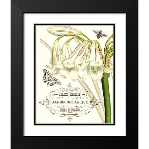 Jardin Botanique I Black Modern Wood Framed Art Print with Double Matting by Vision Studio