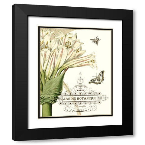 Jardin Botanique II Black Modern Wood Framed Art Print with Double Matting by Vision Studio