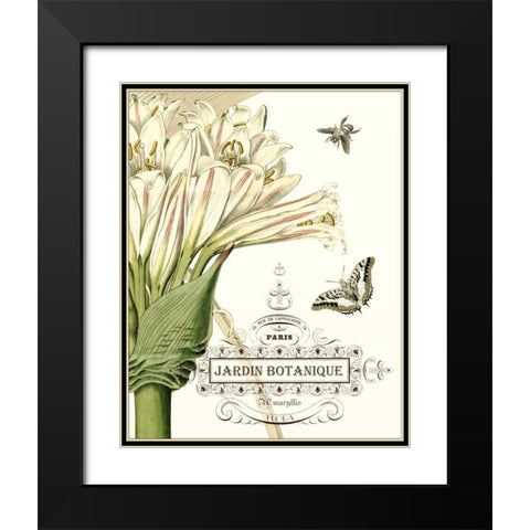 Jardin Botanique II Black Modern Wood Framed Art Print with Double Matting by Vision Studio