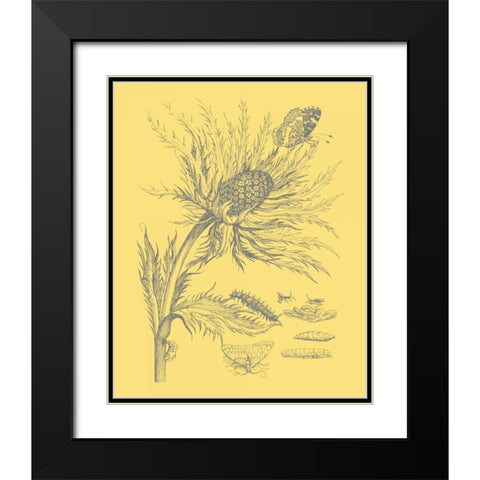 Natures Optimism I Black Modern Wood Framed Art Print with Double Matting by Vision Studio