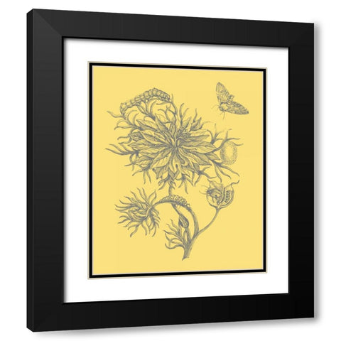 Natures Optimism II Black Modern Wood Framed Art Print with Double Matting by Vision Studio