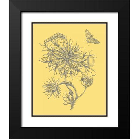 Natures Optimism II Black Modern Wood Framed Art Print with Double Matting by Vision Studio