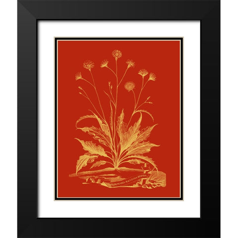 Paprika Bouquet III Black Modern Wood Framed Art Print with Double Matting by Vision Studio