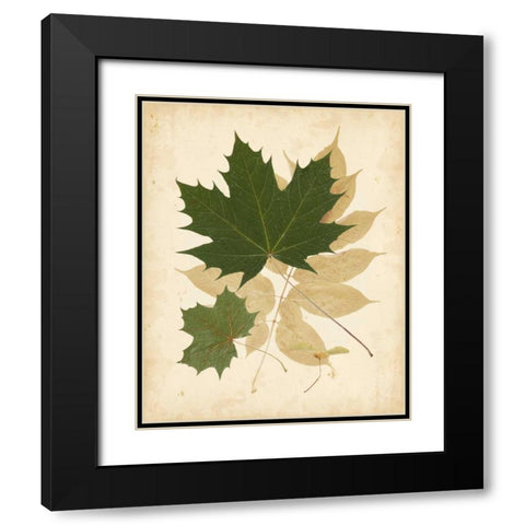Natures Collage I Black Modern Wood Framed Art Print with Double Matting by Vision Studio