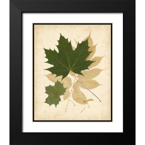 Natures Collage I Black Modern Wood Framed Art Print with Double Matting by Vision Studio