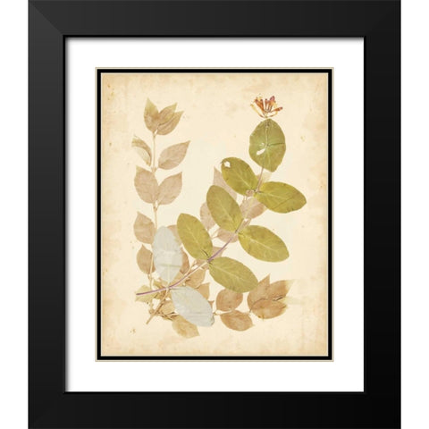 Natures Collage II Black Modern Wood Framed Art Print with Double Matting by Vision Studio