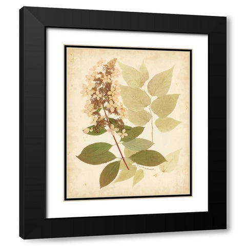 Natures Collage III Black Modern Wood Framed Art Print with Double Matting by Vision Studio