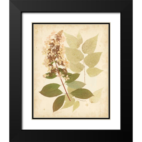 Natures Collage III Black Modern Wood Framed Art Print with Double Matting by Vision Studio
