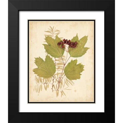 Natures Collage IV Black Modern Wood Framed Art Print with Double Matting by Vision Studio
