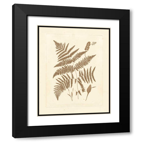 Sepia Ferns I Black Modern Wood Framed Art Print with Double Matting by Vision Studio