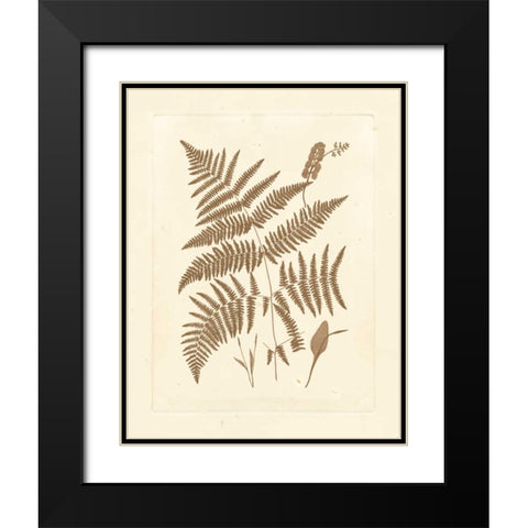 Sepia Ferns I Black Modern Wood Framed Art Print with Double Matting by Vision Studio