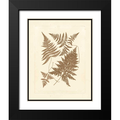 Sepia Ferns VI Black Modern Wood Framed Art Print with Double Matting by Vision Studio