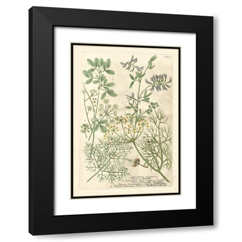 Weinmanns Garden IV Black Modern Wood Framed Art Print with Double Matting by Weinmann, Johann