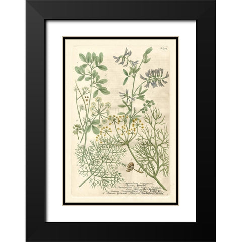 Weinmanns Garden IV Black Modern Wood Framed Art Print with Double Matting by Weinmann, Johann