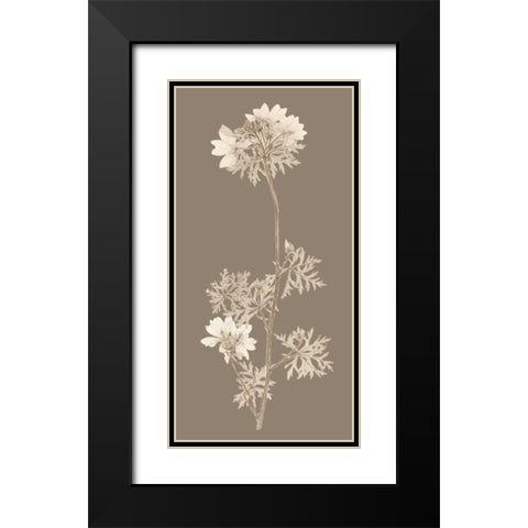 Taupe Nature Study II Black Modern Wood Framed Art Print with Double Matting by Vision Studio