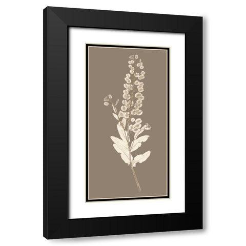 Taupe Nature Study III Black Modern Wood Framed Art Print with Double Matting by Vision Studio