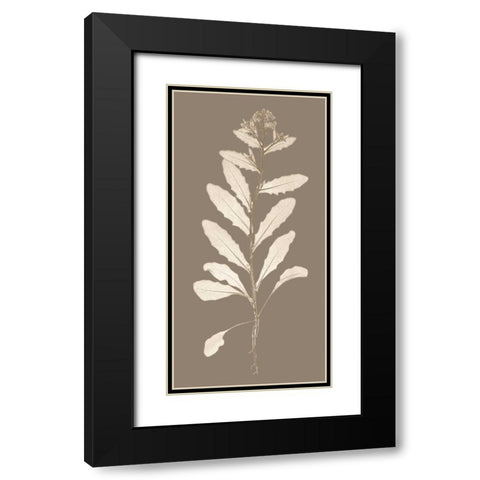 Taupe Nature Study IV Black Modern Wood Framed Art Print with Double Matting by Vision Studio