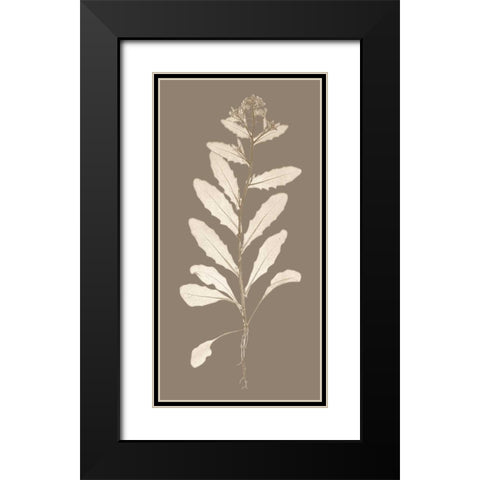 Taupe Nature Study IV Black Modern Wood Framed Art Print with Double Matting by Vision Studio