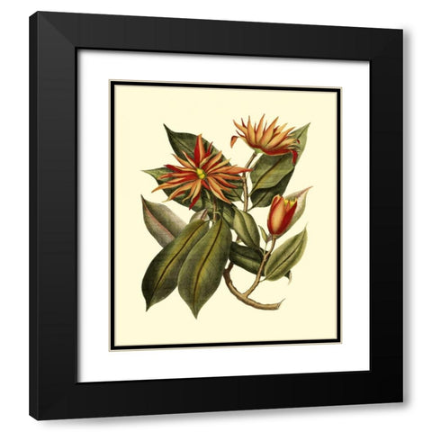 Magnificent Foliage I Black Modern Wood Framed Art Print with Double Matting by Vision Studio