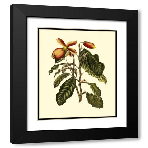 Magnificent Foliage II Black Modern Wood Framed Art Print with Double Matting by Vision Studio