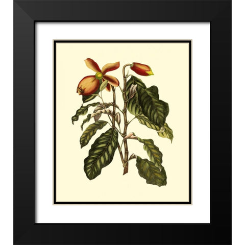 Magnificent Foliage II Black Modern Wood Framed Art Print with Double Matting by Vision Studio