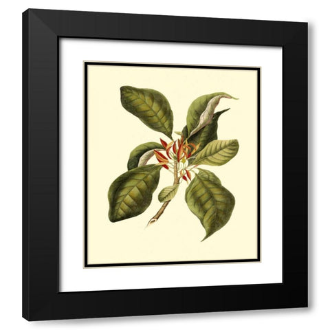 Magnificent Foliage III Black Modern Wood Framed Art Print with Double Matting by Vision Studio