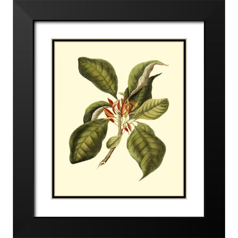 Magnificent Foliage III Black Modern Wood Framed Art Print with Double Matting by Vision Studio
