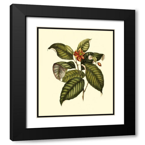 Magnificent Foliage IV Black Modern Wood Framed Art Print with Double Matting by Vision Studio