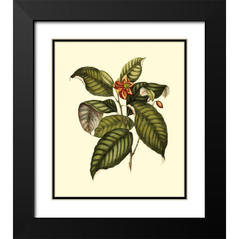 Magnificent Foliage IV Black Modern Wood Framed Art Print with Double Matting by Vision Studio