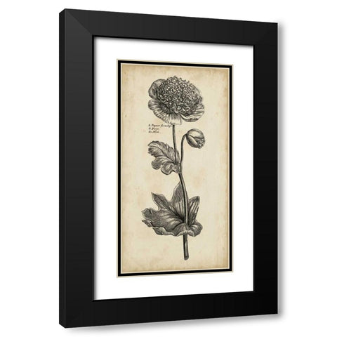 Singular Beauty I Black Modern Wood Framed Art Print with Double Matting by Vision Studio