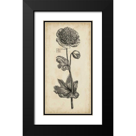 Singular Beauty I Black Modern Wood Framed Art Print with Double Matting by Vision Studio