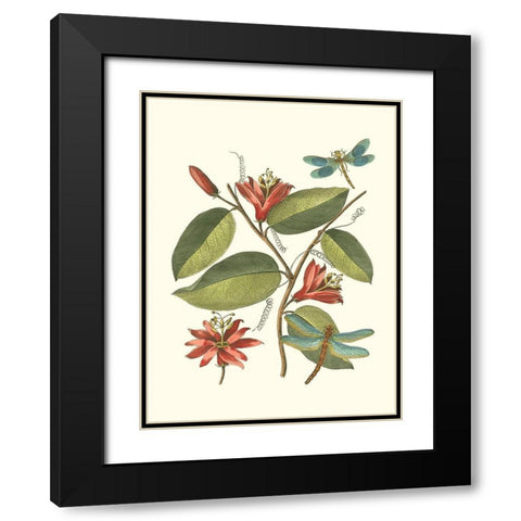Midsummer Floral IV Black Modern Wood Framed Art Print with Double Matting by Vision Studio