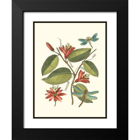 Midsummer Floral IV Black Modern Wood Framed Art Print with Double Matting by Vision Studio