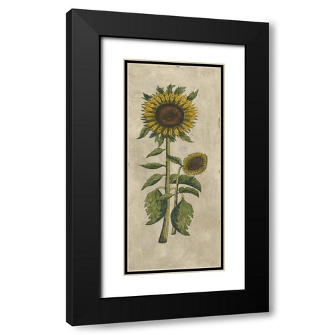 Sunflower Fresco I Black Modern Wood Framed Art Print with Double Matting by Vision Studio