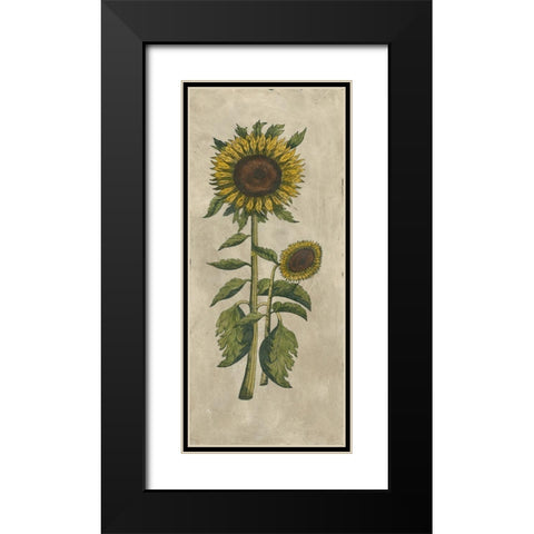 Sunflower Fresco I Black Modern Wood Framed Art Print with Double Matting by Vision Studio