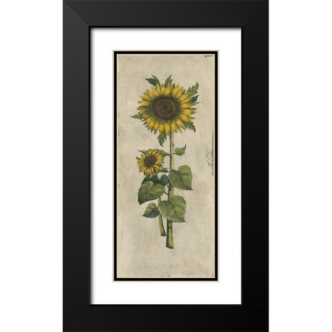 Sunflower Fresco II Black Modern Wood Framed Art Print with Double Matting by Vision Studio