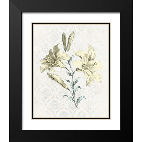 Victorian Blooms III Black Modern Wood Framed Art Print with Double Matting by Vision Studio