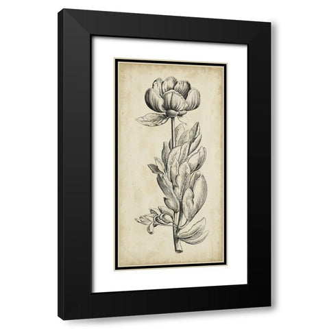 Singular Beauty IV Black Modern Wood Framed Art Print with Double Matting by Vision Studio