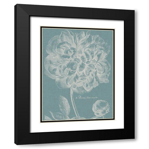 Graceful Peony I Black Modern Wood Framed Art Print with Double Matting by Vision Studio