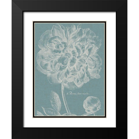 Graceful Peony I Black Modern Wood Framed Art Print with Double Matting by Vision Studio