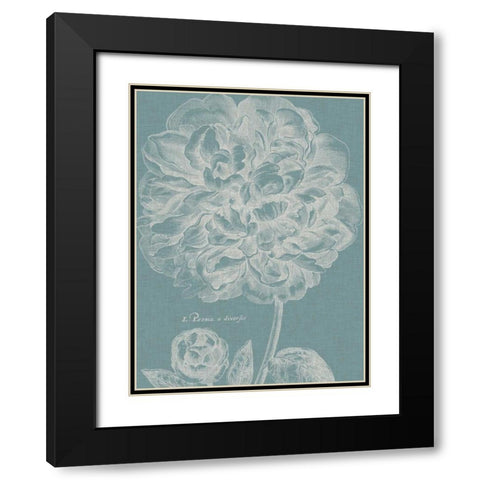 Graceful Peony II Black Modern Wood Framed Art Print with Double Matting by Vision Studio